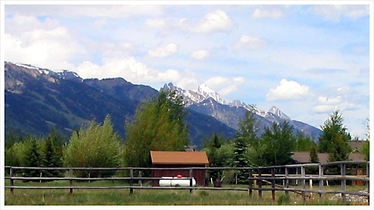 The Sassy Moose Summer Teton View 